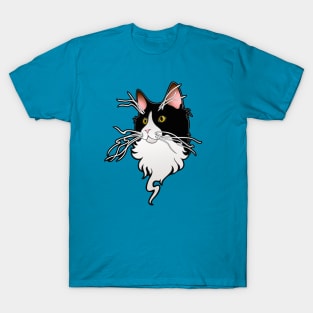 Ash, the kitty with the whiskers T-Shirt